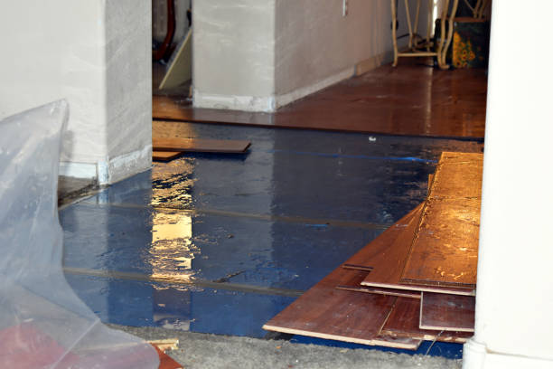 Professional Basement Water Removal technician working in Waterford, CA